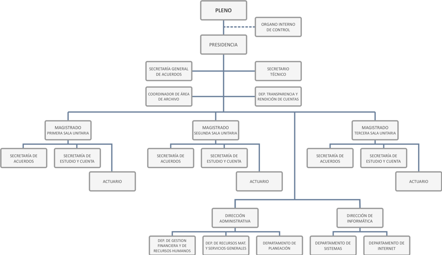Estructura Orgánica